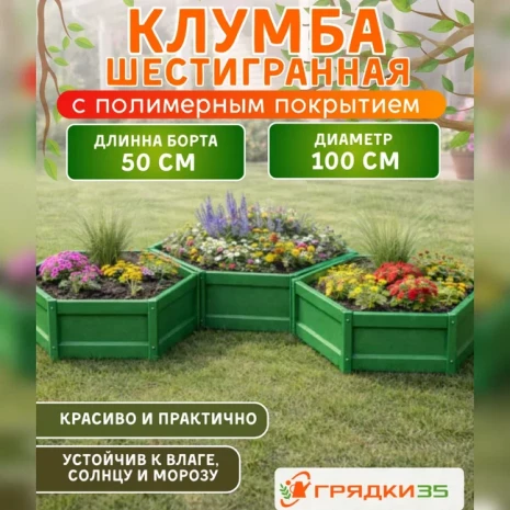 клумба 50