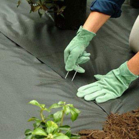 39977afafcfbe7b6c096691aca12f9abcefe3c49_original