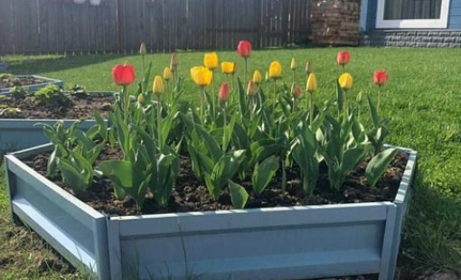 Металлические клумбы в Череповце